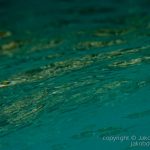 jakobdezwart-underwater-gordon'sbay-0334