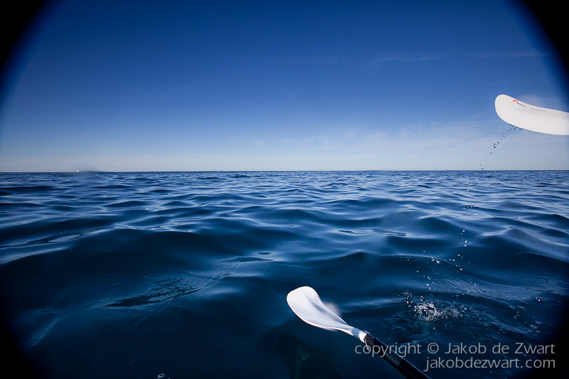 jakobdezwart-underwater-gordon'sbay-3668