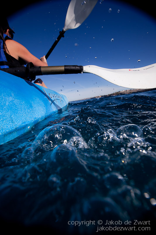 jakobdezwart-underwater-gordon'sbay-3679