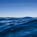 jakobdezwart-underwater-gordon'sbay-3755