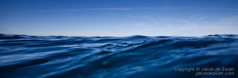 jakobdezwart-underwater-gordon'sbay-3755