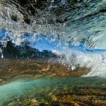 jakobdezwart-underwater-gordon'sbay-4006