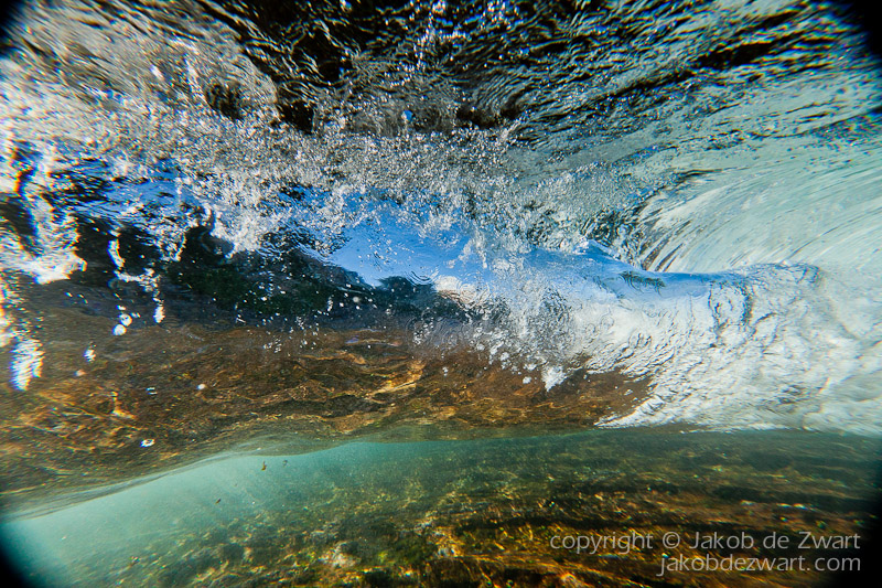jakobdezwart-underwater-gordon'sbay-4006