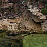 jakobdezwart-underwater-gordon'sbay-5656
