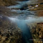 jakobdezwart-underwater-gordon'sbay-5666
