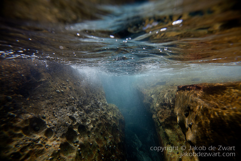 jakobdezwart-underwater-gordon'sbay-5666