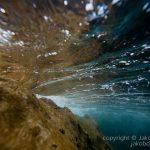 jakobdezwart-underwater-gordon'sbay-5678