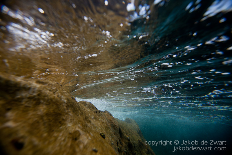 jakobdezwart-underwater-gordon'sbay-5678