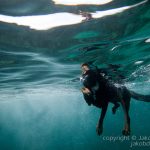 jakobdezwart-underwater-gordon'sbay-5723