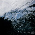 jakobdezwart-underwater-gordon'sbay-5781