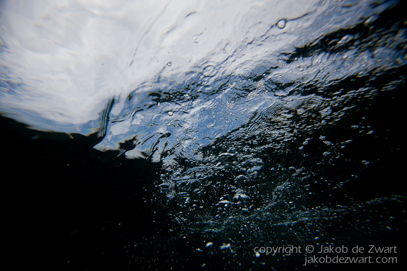 jakobdezwart-underwater-gordon'sbay-5781