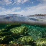 jakobdezwart-underwater-gordon'sbay-5975
