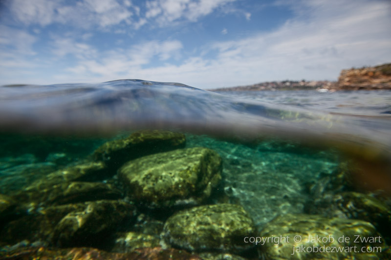 jakobdezwart-underwater-gordon'sbay-5975