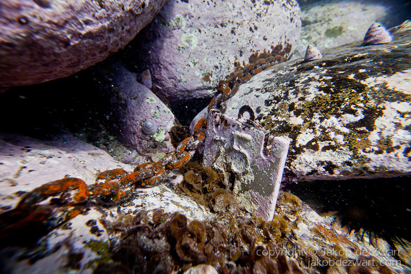 jakobdezwart-underwater-gordon'sbay-6329