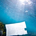 jakobdezwart-underwater-gordon'sbay-6758