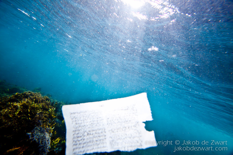 jakobdezwart-underwater-gordon'sbay-6758
