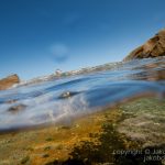 jakobdezwart-underwater-gordon'sbay-7345