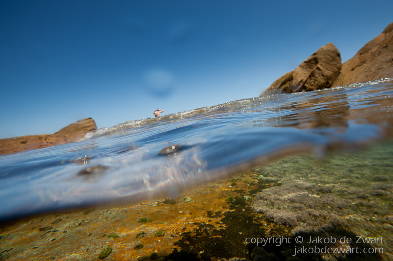 jakobdezwart-underwater-gordon'sbay-7345