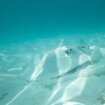 jakobdezwart-underwater-maldives-5354