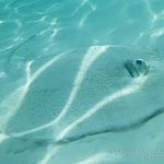 jakobdezwart-underwater-maldives-5362