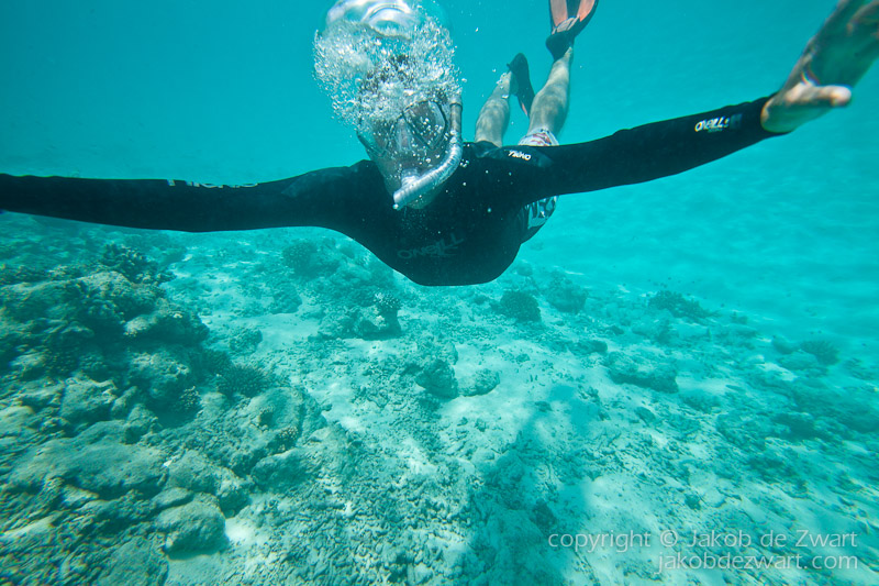 jakobdezwart-underwater-maldives-5391