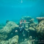 jakobdezwart-underwater-maldives-5525