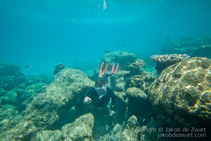 jakobdezwart-underwater-maldives-5525