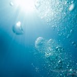 jakobdezwart-underwater-maldives-5575