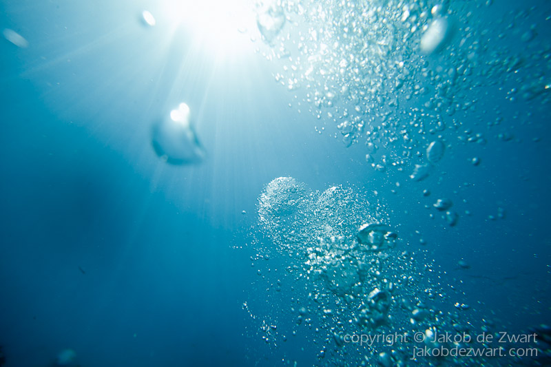 jakobdezwart-underwater-maldives-5575