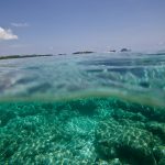 jakobdezwart-underwater-maldives-5775