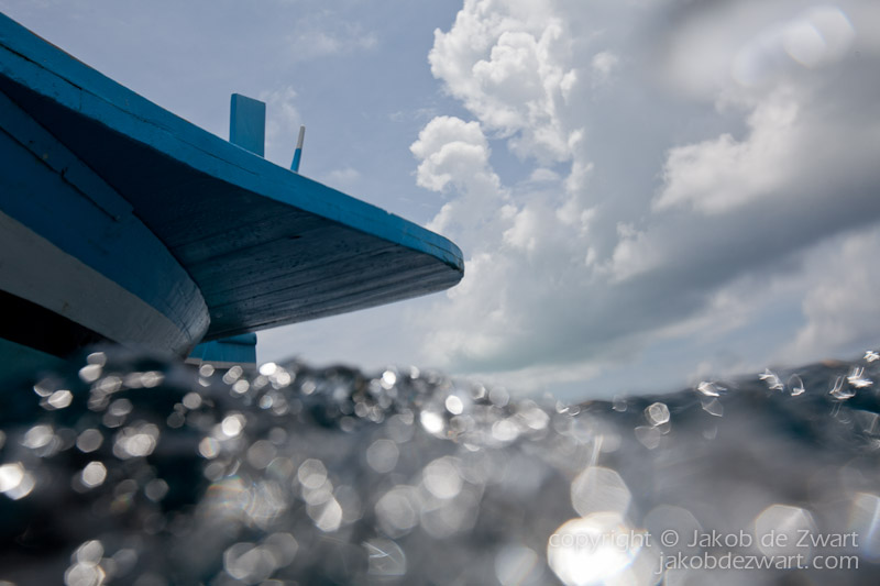 jakobdezwart-underwater-maldives-7492